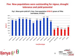 Breeding beans for nutritional quality, drought tolerance and productivity in Kenya