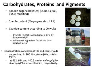 Changes in levels of bio-chemicals and secondary metabolites during peak stress in field cassava