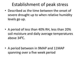 Changes in levels of bio-chemicals and secondary metabolites during peak stress in field cassava