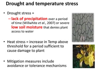 Changes in levels of bio-chemicals and secondary metabolites during peak stress in field cassava