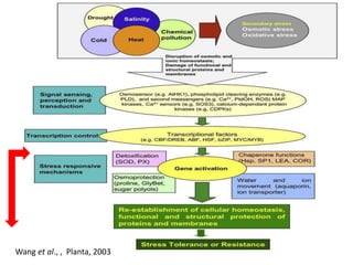 Changes in levels of bio-chemicals and secondary metabolites during peak stress in field cassava