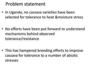 Changes in levels of bio-chemicals and secondary metabolites during peak stress in field cassava