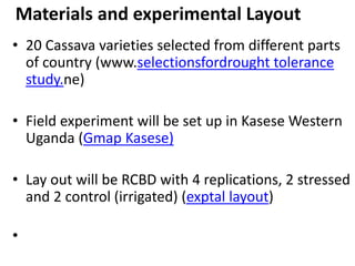 Changes in levels of bio-chemicals and secondary metabolites during peak stress in field cassava