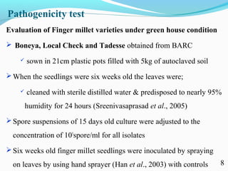 Characterization of finger millet blast pathogen (Pyricularia grisea) and Its management using biocontrol agents and fungicides