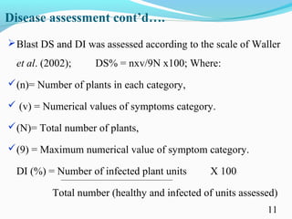 Characterization of finger millet blast pathogen (Pyricularia grisea) and Its management using biocontrol agents and fungicides