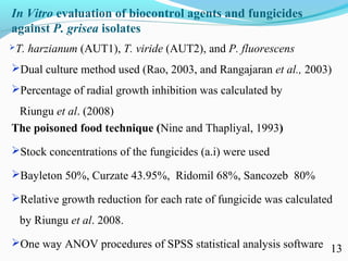 Characterization of finger millet blast pathogen (Pyricularia grisea) and Its management using biocontrol agents and fungicides