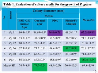 Characterization of finger millet blast pathogen (Pyricularia grisea) and Its management using biocontrol agents and fungicides