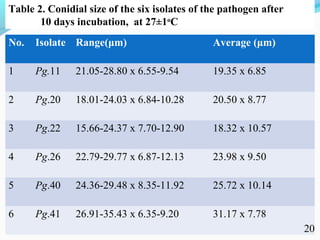 Characterization of finger millet blast pathogen (Pyricularia grisea) and Its management using biocontrol agents and fungicides