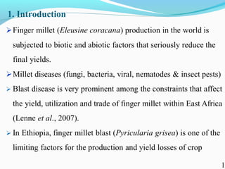 Characterization of finger millet blast pathogen (Pyricularia grisea) and Its management using biocontrol agents and fungicides
