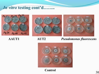 Characterization of finger millet blast pathogen (Pyricularia grisea) and Its management using biocontrol agents and fungicides