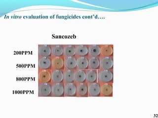 Characterization of finger millet blast pathogen (Pyricularia grisea) and Its management using biocontrol agents and fungicides