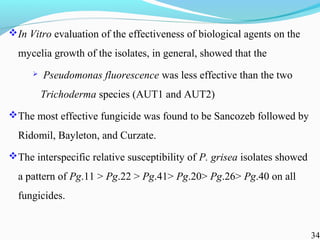 Characterization of finger millet blast pathogen (Pyricularia grisea) and Its management using biocontrol agents and fungicides