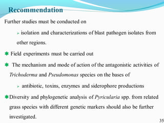 Characterization of finger millet blast pathogen (Pyricularia grisea) and Its management using biocontrol agents and fungicides