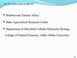 Characterization of finger millet blast pathogen (Pyricularia grisea) and Its management using biocontrol agents and fungicides