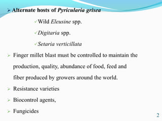 Characterization of finger millet blast pathogen (Pyricularia grisea) and Its management using biocontrol agents and fungicides