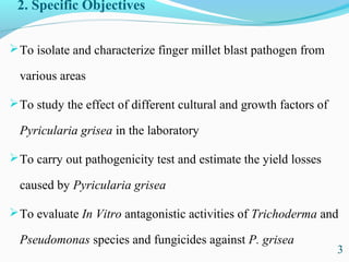 Characterization of finger millet blast pathogen (Pyricularia grisea) and Its management using biocontrol agents and fungicides