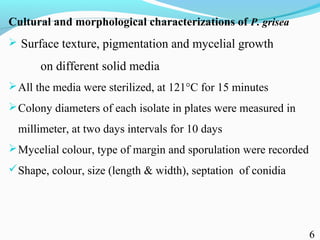 Characterization of finger millet blast pathogen (Pyricularia grisea) and Its management using biocontrol agents and fungicides
