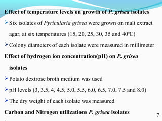 Characterization of finger millet blast pathogen (Pyricularia grisea) and Its management using biocontrol agents and fungicides