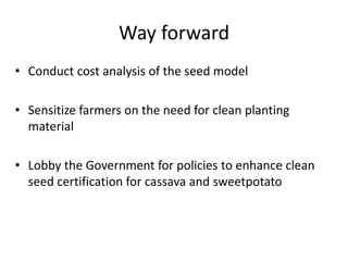 Developing a clean seed delivery system for cassava and sweetpotato in Kenya