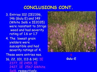 Evaluation of Kenyan finger millet accessions for Blast disease and Striga weed