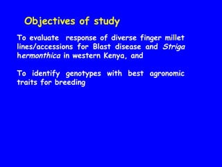 Evaluation of Kenyan finger millet accessions for Blast disease and Striga weed