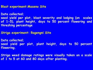 Evaluation of Kenyan finger millet accessions for Blast disease and Striga weed