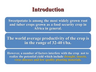 Evaluation of stress resistant sweetpotato varieties and their low cost micro-propagation: Ethiopian experience