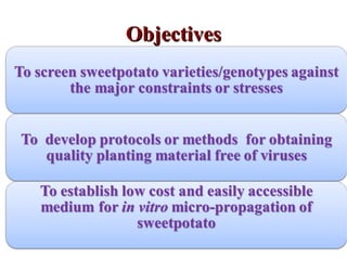 Evaluation of stress resistant sweetpotato varieties and their low cost micro-propagation: Ethiopian experience