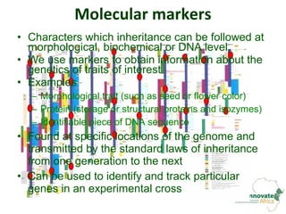 Genetic diversity assessment of east African finger millet and cost ...
