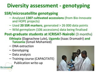Genetic diversity assessment of east African finger millet and cost-effective development of new SSR markers