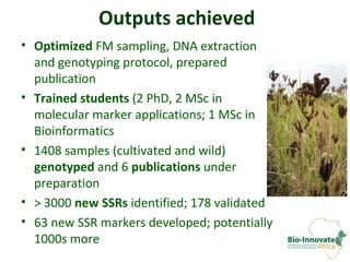 Genetic diversity assessment of east African finger millet and cost-effective development of new SSR markers