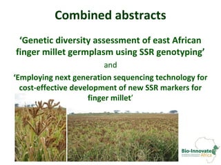 Genetic diversity assessment of east African finger millet and cost-effective development of new SSR markers