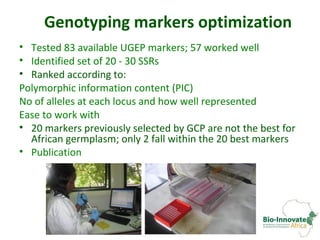 Genetic diversity assessment of east African finger millet and cost-effective development of new SSR markers