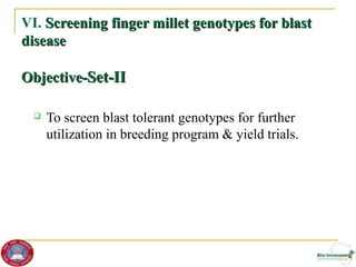 Genetic diversity and traits inheritance in finger millet (Eleusine coracana): Implications for germplasm conservation and strategic breeding for multi-stress tolerant variety  
