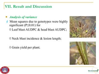 Genetic diversity and traits inheritance in finger millet (Eleusine coracana): Implications for germplasm conservation and strategic breeding for multi-stress tolerant variety  