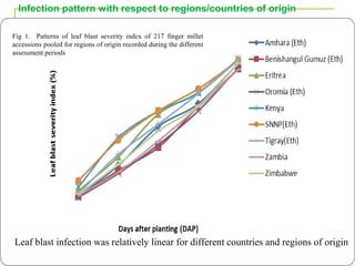 Genetic diversity and traits inheritance in finger millet (Eleusine coracana): Implications for germplasm conservation and strategic breeding for multi-stress tolerant variety  