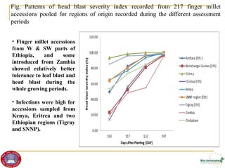 Genetic diversity and traits inheritance in finger millet (Eleusine coracana): Implications for germplasm conservation and strategic breeding for multi-stress tolerant variety  