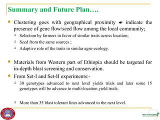 Genetic diversity and traits inheritance in finger millet (Eleusine coracana): Implications for germplasm conservation and strategic breeding for multi-stress tolerant variety  
