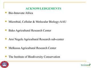 Genetic diversity and traits inheritance in finger millet (Eleusine coracana): Implications for germplasm conservation and strategic breeding for multi-stress tolerant variety  