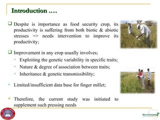 Genetic diversity and traits inheritance in finger millet (Eleusine coracana): Implications for germplasm conservation and strategic breeding for multi-stress tolerant variety  