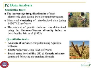 Genetic diversity and traits inheritance in finger millet (Eleusine coracana): Implications for germplasm conservation and strategic breeding for multi-stress tolerant variety  