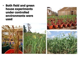 Improving production potential of sorghum and finger millets through genetic improvement and participatory farmer research for development