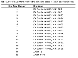 Line by environment interaction, yield stability and grouping of test locations for navy bean variety trial in Ethiopia