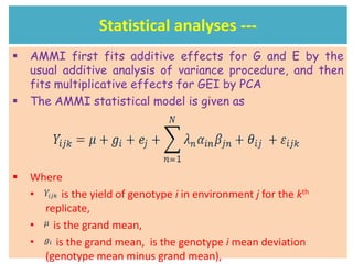 Line by environment interaction, yield stability and grouping of test locations for navy bean variety trial in Ethiopia