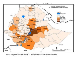 Line by environment interaction, yield stability and grouping of test locations for navy bean variety trial in Ethiopia