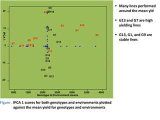 Line by environment interaction, yield stability and grouping of test locations for navy bean variety trial in Ethiopia