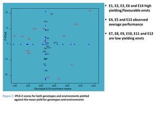Line by environment interaction, yield stability and grouping of test locations for navy bean variety trial in Ethiopia