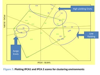 Line by environment interaction, yield stability and grouping of test locations for navy bean variety trial in Ethiopia