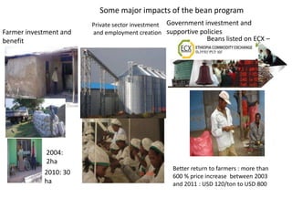 Line by environment interaction, yield stability and grouping of test locations for navy bean variety trial in Ethiopia