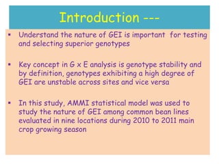 Line by environment interaction, yield stability and grouping of test locations for navy bean variety trial in Ethiopia